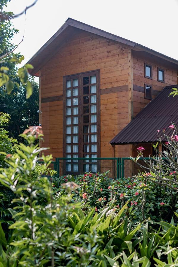 The Pine Loft Villa Bengaluru Kültér fotó